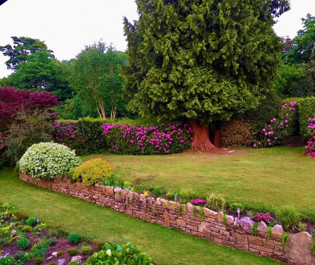 Ranmore Rise Retreat In The Surrey Hills Dorking Buitenkant foto